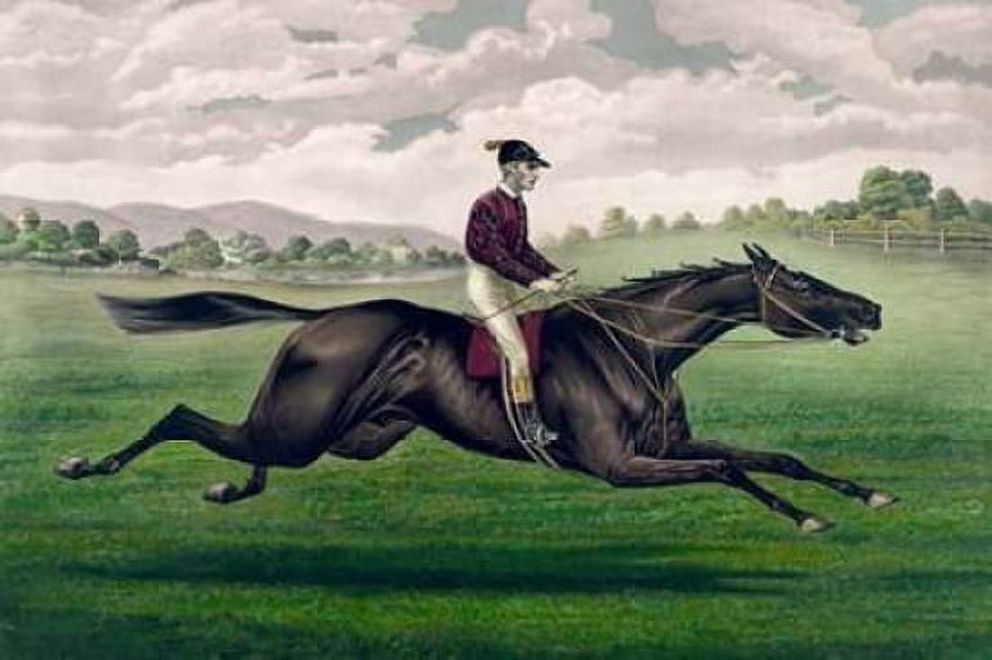 Parole brown gelding by Imp Leamington dam Maiden by Lexington Canvas Art - Currier and Ives (12 x 18)