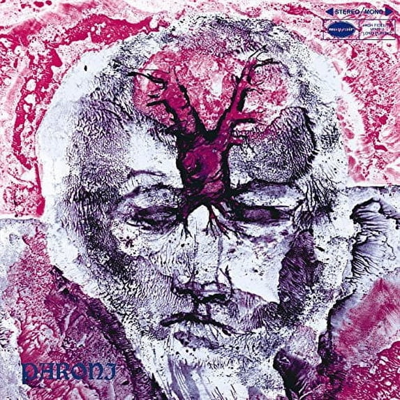 Paroni Paakkunainen - Plasticmaailma - Rock - Vinyl