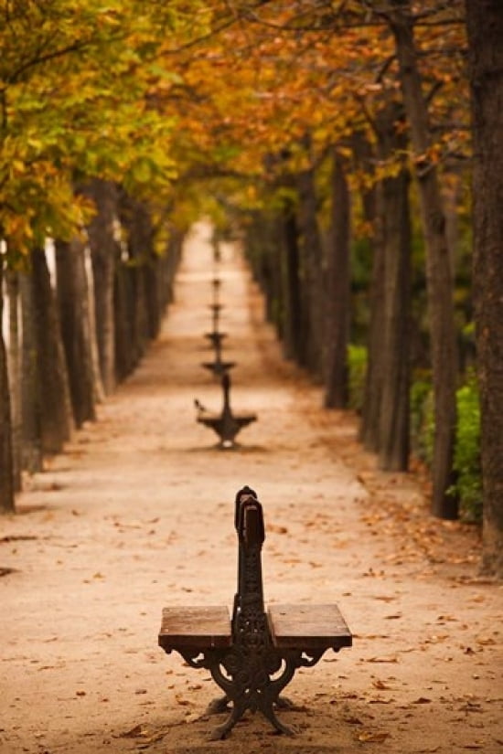 Parque del Buen Retiro Madrid Spain Canvas Art - Walter Bibikow DanitaDelimont (12 x 17)