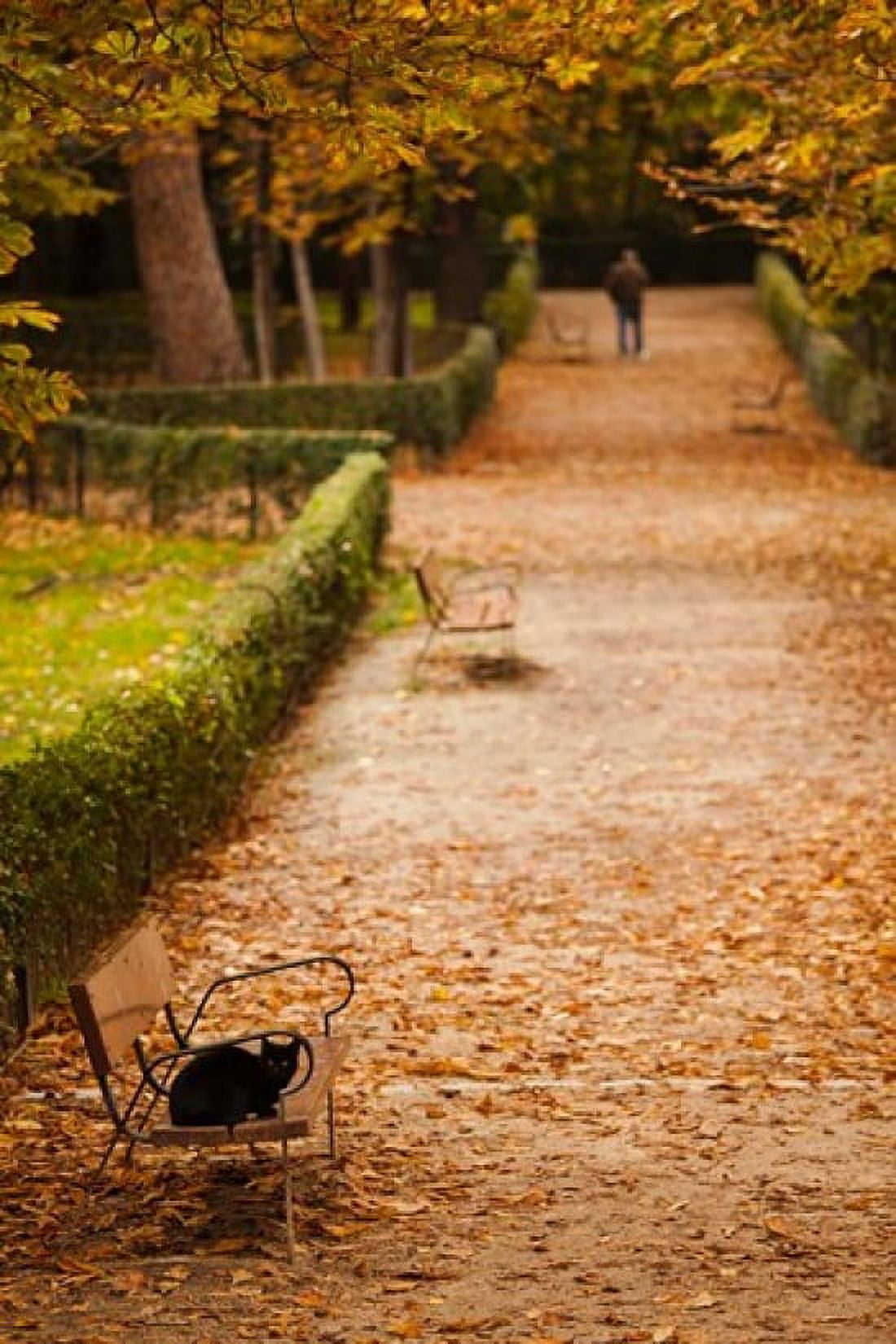 Parque del Buen Retiro Madrid Spain Canvas Art - Walter Bibikow DanitaDelimont (25 x 38)