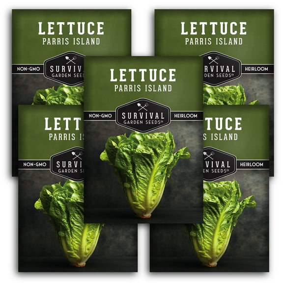 Parris Island Cos Lettuce Seeds - 5 pack - Non-GMO Heirloom Full Sun Annual Vegetable