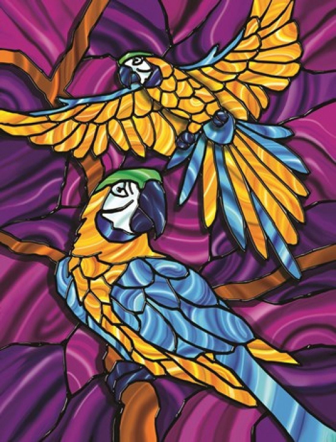 Parrot A Canvas Art - Jeff Maraska (18 x 24)
