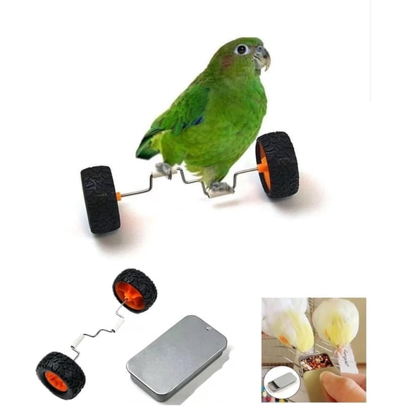 Parrot Balance Bike Toy with Treat Cup for Small Parrots