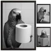 TheNameStore Parrot Bathroom Decor Farmhouse Photo Picture 8.5 x 11 Wall Art Art Prints Set of 3