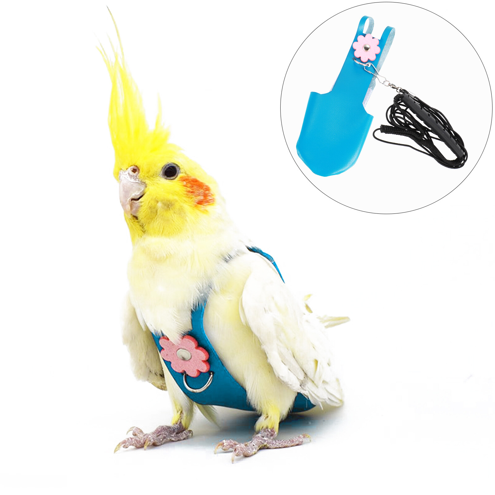 Parrot Bird Flight Suit Pet Nappy Diapers Diaper Cockatiel Liners Costume Pigeon Pee Birds Avian