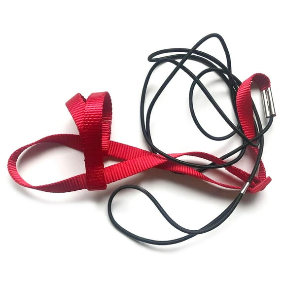 ✪ Parrot Bird Harness Leash Adjustable Anti-Bite Training Flying Traction Rope