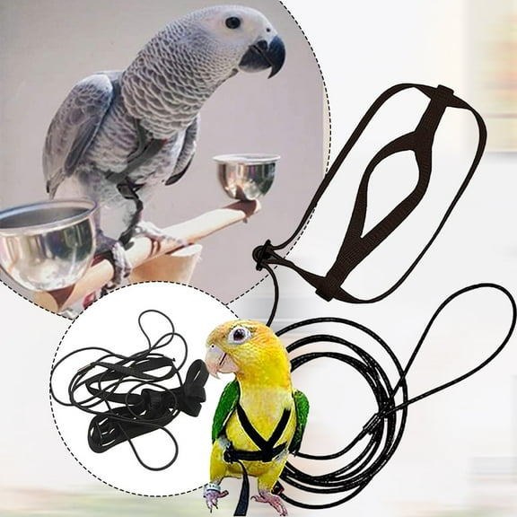 Parrot Bird Harness Leash Adjustable Training Rope Flying Traction Straps Band S Smile Home