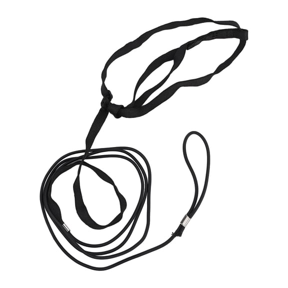 Parrot Bird Harness Leash Adjustable Training Rope Flying Traction Straps Band Xl Smile Home