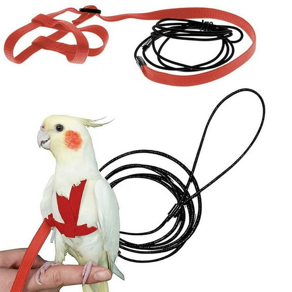 Parrot Bird Harness Leash Outdoor Flying Traction Straps Band Adjustable Anti-Bite Training Rope,Green M