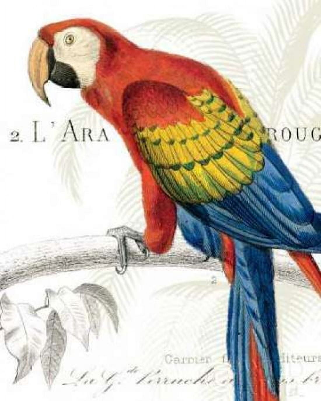 Parrot Botanique II Canvas Art - Wild Apple Portfolio (24 x 30)
