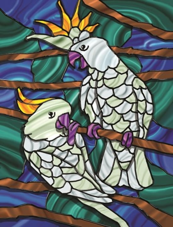 Parrot C Canvas Art - Jeff Maraska (18 x 24)