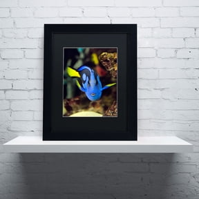 "Parrot Fish" Canvas Art by Kurt Shaffer, Black Matte, Black Frame