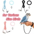 thumbnail image 1 of Parrot Flying Rope, Bird Harness for Macaw African Greys Small Birds _ Pink, 1 of 6
