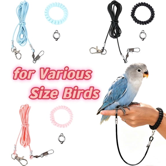 Parrot Flying Rope, Bird Harness for Macaw African Greys Small Birds _ Pink