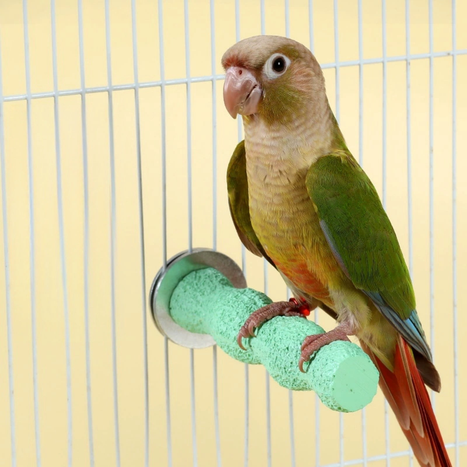 Parrot Natural Stand Perch, Bird Cage Play Gym, Textured Foot Perch For ...
