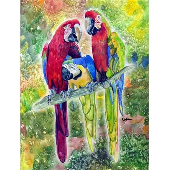 Parrot Parrot Head Canvas Flag - House Size- 28 x 40 in.