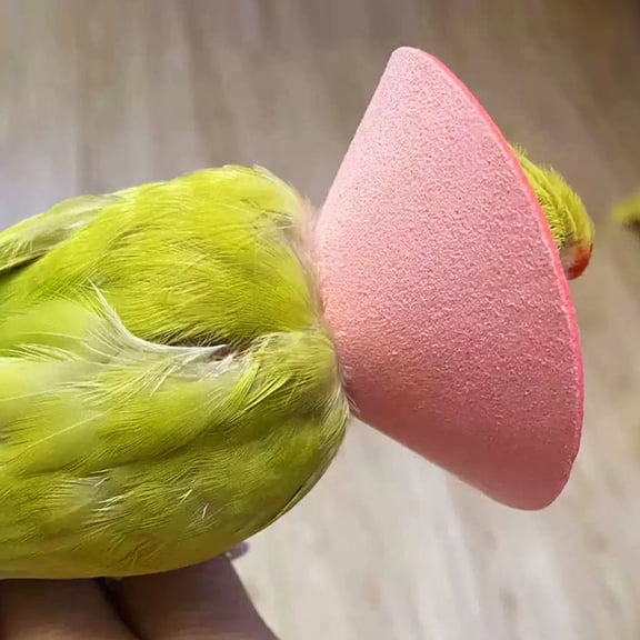 Parrot Recovery Collar Soft Breathable Bird Cone Protective Neck Ring for Small Medium Parrots
