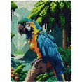 thumbnail image 1 of Parrot | Rug Making Latch Hooking Kit, 1 of 8