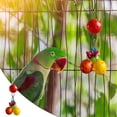 Parrot Toy Colorful Parrot Bird Climbing Play Hanging Toy Pet Cage