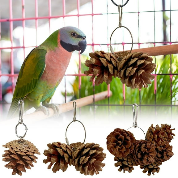 Parrot Toys under $5! Yannianjz 1/3/6 Pcs Parrot Chew Toy - Natural Pine Cones Parrot Chewing Toys Bird Toys Hangable Bird Cage Toy for Cage for Small and Medium-Sized Macaws, Cockatoos, Parakeet