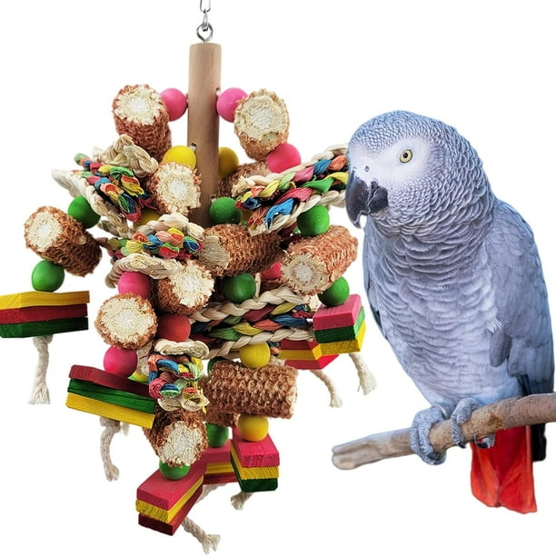Small parrot toys best sale