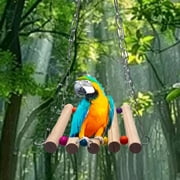 Parrot Trick Training Tabletop Basketball Stacking Rings Puzzle Toy Kit for Intelligent Bird Enrichment Activities