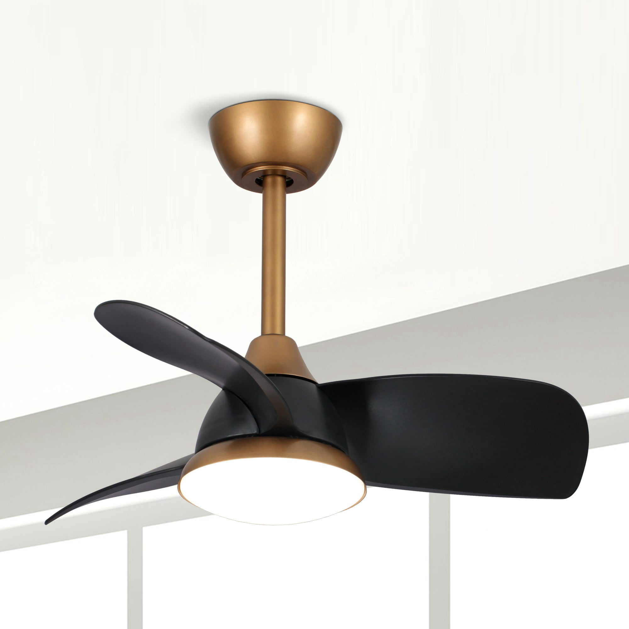 Parrot Uncle Ceiling Fan with Light and Remote Control 28 inch Modern ...