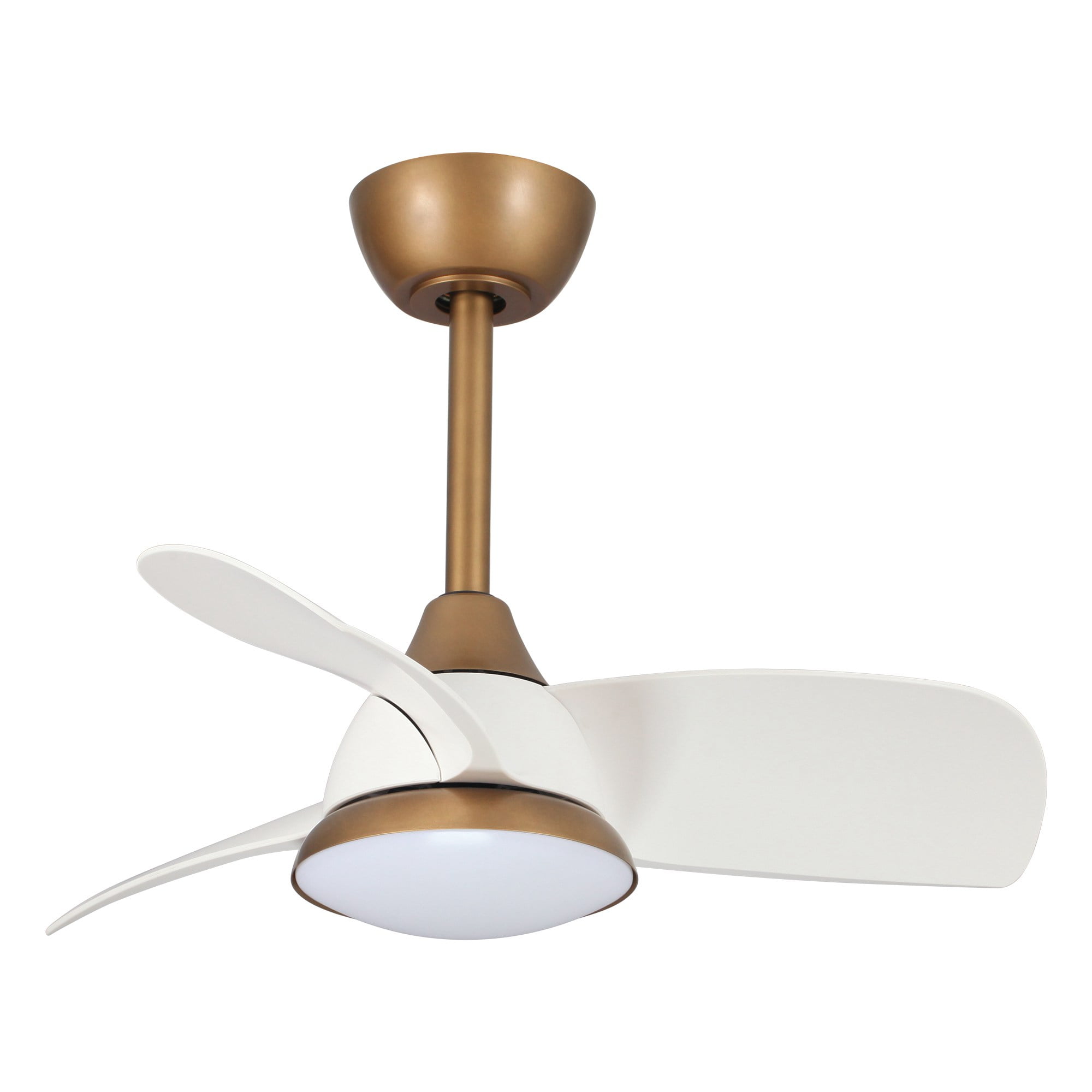 Parrot Uncle Ceiling Fan with Light and Remote Control Modern