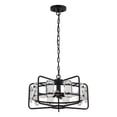 thumbnail image 1 of Parrot Uncle Ceiling Light Fixtures Black Glass Pendant Light Fixtures Hanging Pendant Lighting, 4 Bulbs not Included, 1 of 10