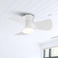 thumbnail image 1 of Parrot Uncle Low Profile Ceiling Fans with Remote Control, 30" Quiet Ceiling Fan with LED Light for Bedroom Patio,Dimmable, Reversible DC Motor, 1 of 10