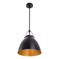 Modern 1-Light Incandescent Black Pendant Lights with Shades
