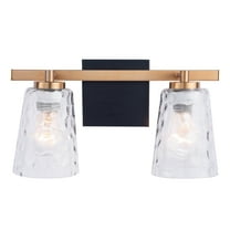 Modern 2-Light Gold Vanity Light with Glass Shade