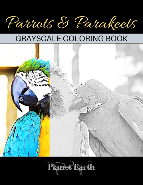 Parrots & Parakeets Grayscale Coloring Book: Adult Coloring Book with Beautiful Parrot Images. (Paperback)