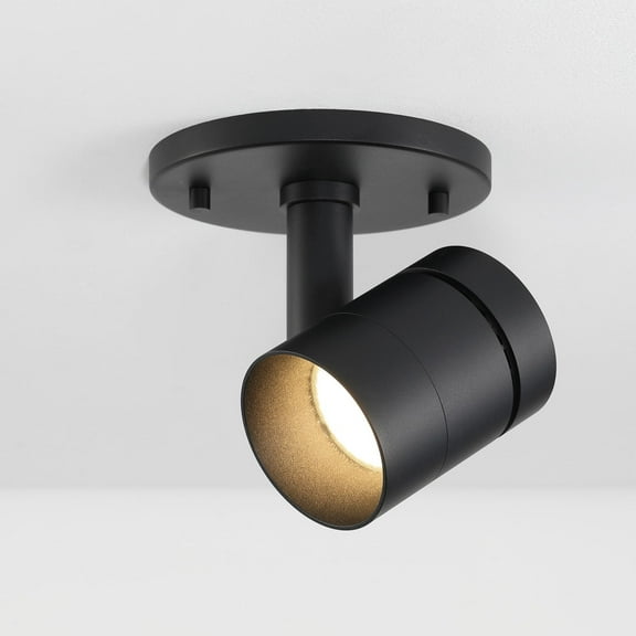 Parry Black Spotlight Sconce with Adjustable Head, Integrated LED Bulb, 3000K, 1370 Lumen