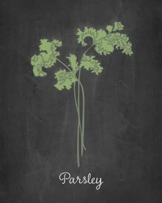 Parsley Canvas Art - Amy Cummings (24 x 30)