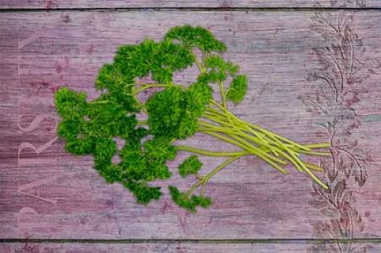 Parsley Garden Herbs Canvas Art - Cora Niele (12 x 18)