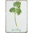 Parsley Kitchen Decor Watercolor Poster Food Wall Art Home Decor