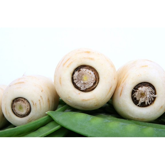 Parsnip All American Seeds/ Biennial/ Full Sun/ 56K Seeds 1/2 LB/ Zellajake Farm and Garden - B298
