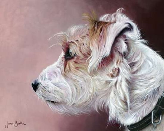 Parsons Terrier Canvas Art - Jane Booth (24 x 30)