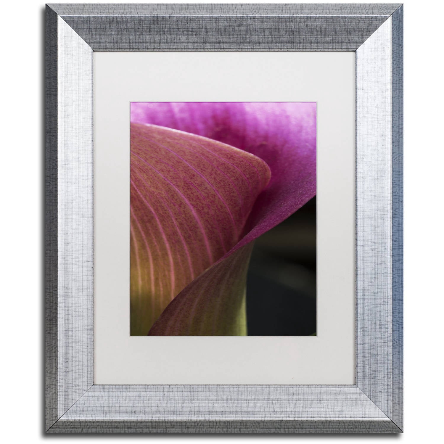 "Part of a Calla Lily" Canvas Art by Kurt Shaffer, White Matte, Silver Frame