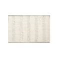 thumbnail image 1 of Partheme 16x24 in Small Bathroom Rugs, Extra Soft Absorbent Chenille Bath Rugs, Quick Dry, Machine Washable Bath Mats for Bathroom Floor, Tub and Shower, Home Decor Accessories, White, 1 of 6