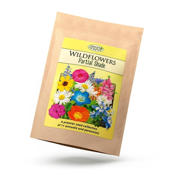 Partial Shade Wildflower Seed Mix, Covers MVR1325 Sq Ft, 11 Flower Varieties, Over 37,000 Seeds, Created By Nature