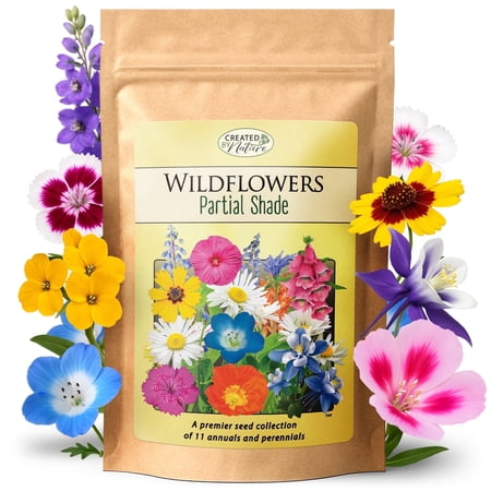 Partial Shade Wildflower Seed Mix, 11 Flower Varieties, 37,000 Seeds - Created By Nature