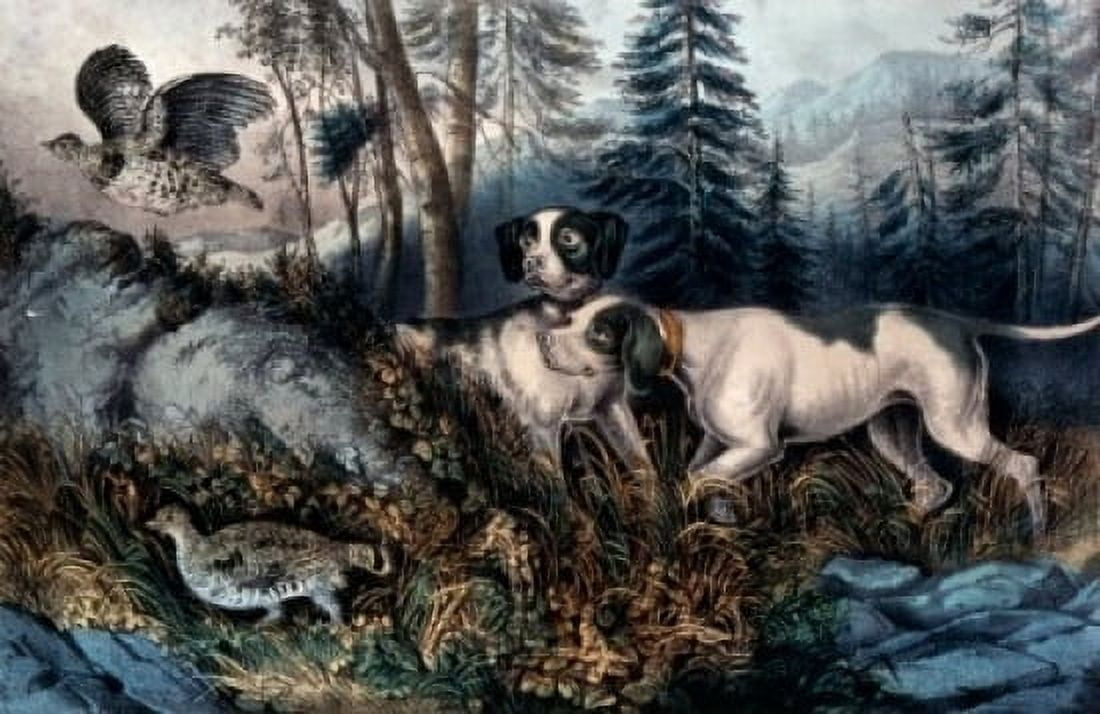 Partridge Shooting Currier and Ives color lithograph 1857-1907 USA Washington DC Library of Congress Canvas Art - Currier & Ives (24 x 36)