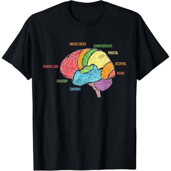 Parts Of The Brain Anatomy Colorful Diagram Learning T-Shirt T-Shirt