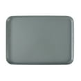 thumbnail image 1 of Party Barbecue Cake Serving Platter, Plastic Guest Service Tray Multi-Function Food Serving Dish, Holiday Gathering Tableware and Practical Party Supply Accessory, 1 of 6