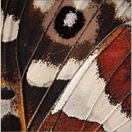 Party Central Club Pack of 192 Brown and Red Spread Your Wings 3-Ply Disposable Luncheon Napkins