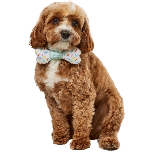 Party Collar Bow-Ne Pet Accessory