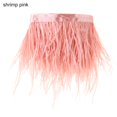 thumbnail image 1 of Party Crafts Accessories DIY Wedding Dress 8-10 CM Wide Ostrich Feathers Trim Plumes Ribbon Selvage 1 Meter Long SHRIMP PINK, 1 of 8