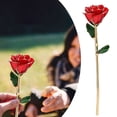 thumbnail image 1 of Party Decorations Clearance! Gold Rose Valentines Day for Her Women Real Rose Dipped Gold for Valentines Day Christmas Birthday Anniversary for Women Mom Grandma(Red Stand) 1X Gilded Rose, 1 of 1